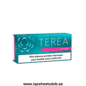 IQOS TEREA Turquoise uae