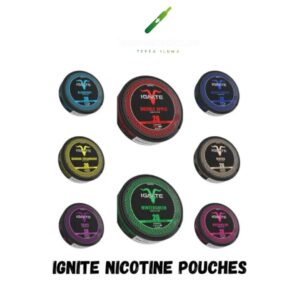 IGNITE Nicotine Pouches (2)