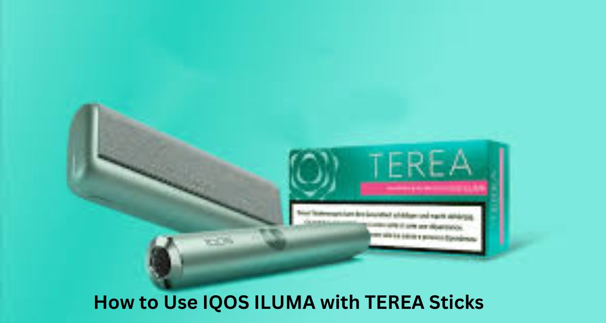 How to Use IQOS ILUMA with TEREA Sticks
